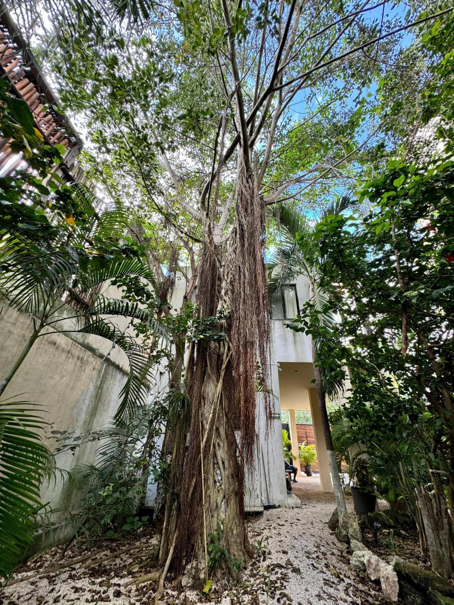 Starfit Hotel Boutique Beachclub, Spa & Gym Included Tulum Zewnętrze zdjęcie