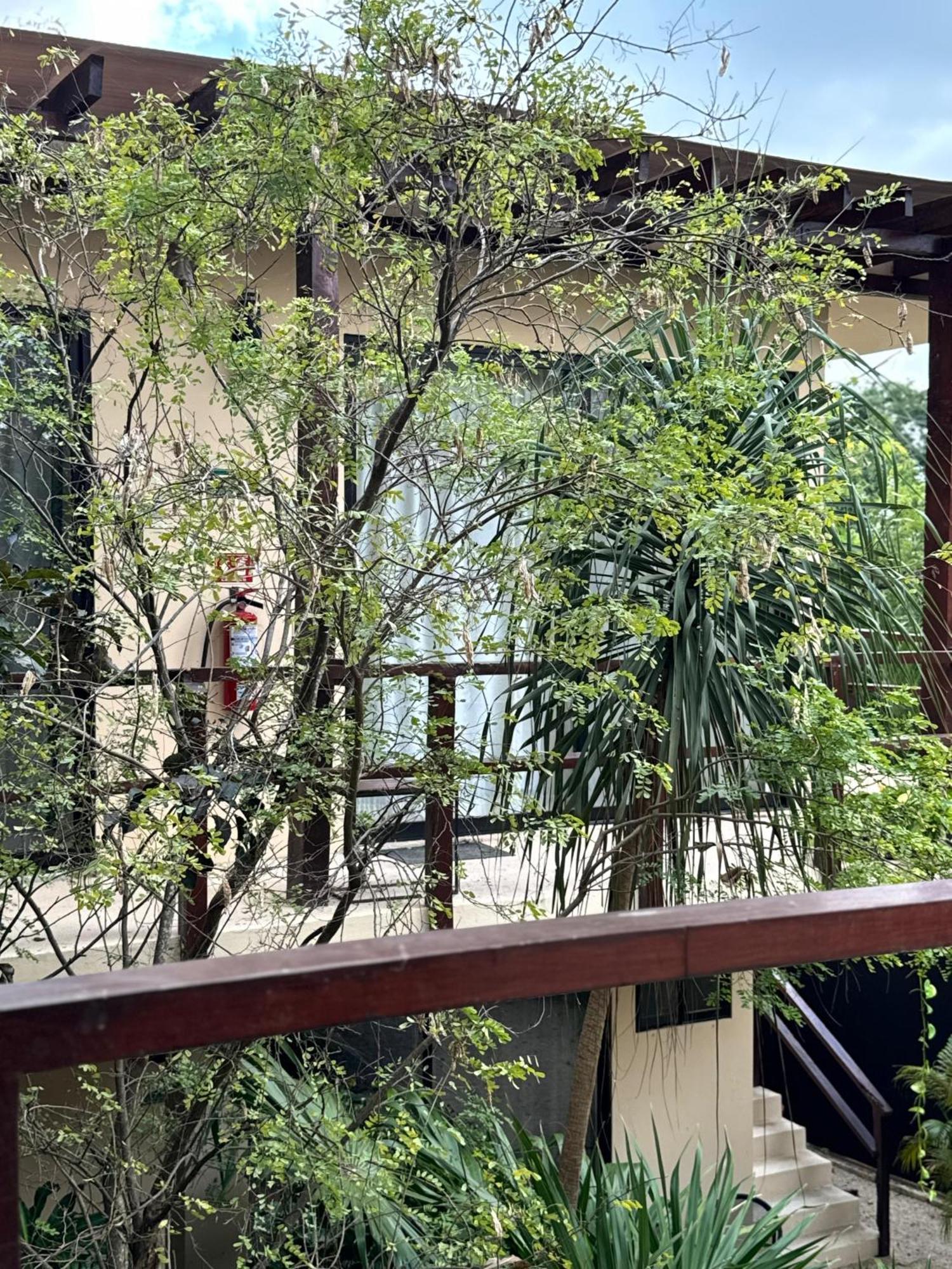 Starfit Hotel Boutique Beachclub, Spa & Gym Included Tulum Zewnętrze zdjęcie